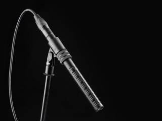 Microfono ⁠Shotgun 2017
