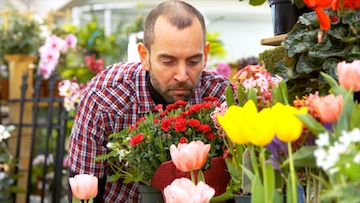 Aroma Flowers