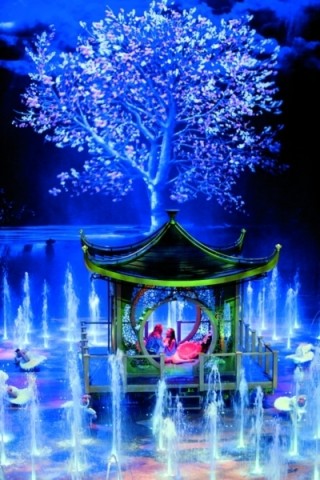 The House of Dancing Water The House of Dancing Water