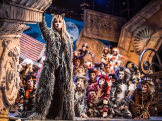 Cats - I gatti all'ombra del Colosseo