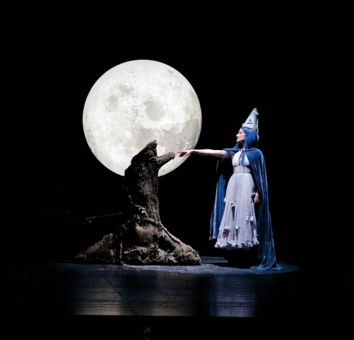 Pinocchio – Il Grande Musical Pinocchio – Il Grande Musical